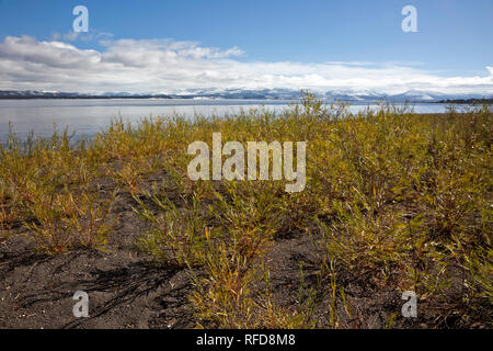 WY02968-00...WYOMING - Vista della gamma Absaroka attraverso il Lago Yellowstone dal punto di Gabbiano nel Parco Nazionale di Yellowstone. Foto Stock