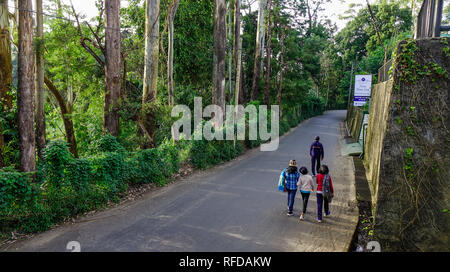 Nuwara Eliya, Sri Lanka - 16 dic 2018. Strada rurale in Nuwara Eliya, Sri Lanka. Nuwara Eliya è il cuore degli altopiani centrali. Foto Stock