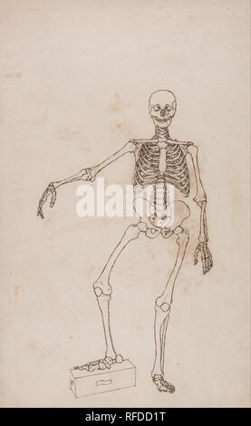 Un confronto esposizione anatomica della struttura del corpo umano con quello di una tigre e un comune Fowl: scheletro umano, vista anteriore. Data/Periodo: 1795 a 1806. Disegno. Penna con ferro da stiro gall, inchiostro e grafite di panna, sottile, leggermente strutturata, carta intessuta di cui la crema moderatamente denso, moderatamente testurizzato, carta intessuta. Altezza: 470 mm (18,50 in); larghezza: 324 mm (12,75 in). Autore: George Stubbs. Foto Stock