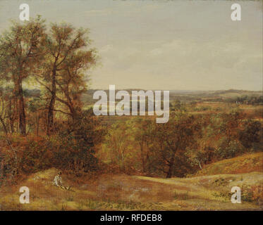 Dedham Vale. Data/Periodo: 1802. La pittura. Olio su tela. Altezza: 333 mm (13.11 in); larghezza: 416 mm (16.37 in). Autore: John Constable. Foto Stock