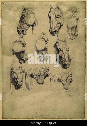 Nove studi di anatomia di una testa di cavallo. Relatore per parere: Hendrik Voogd. Dating: 1788 - 1839. Luogo: Roma. Misurazioni: h 380 mm × W 269 mm. Museo: Rijksmuseum Amsterdam. Foto Stock