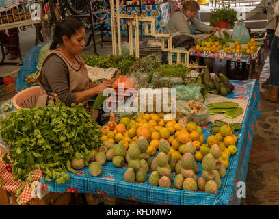 La frutta e la verdura in stallo, specializzata in servizi di ficodindia frutti e foglie; mercato, San Miguel De Allende, Messico centrale. Foto Stock