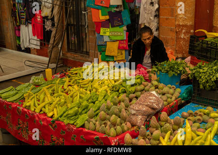 La frutta e la verdura in stallo, specializzata in servizi di ficodindia frutti e foglie; mercato, San Miguel De Allende, Messico centrale. Foto Stock