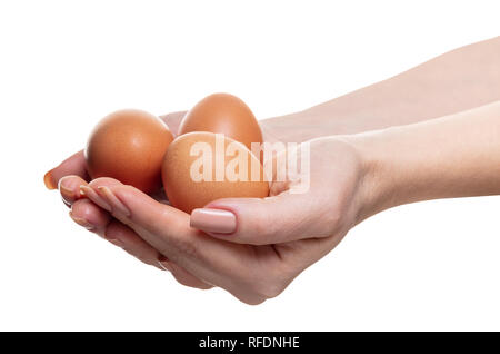 Le uova di gallina in mani femminili in bianco sullo sfondo isolato Foto Stock