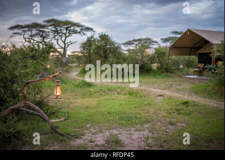 Erba corta pianure del Serengeti National Park, la regione Ndutu e Cratere di Ngorongoro Conservation Area, Tanzania disegnare la grande migrazione. Foto Stock