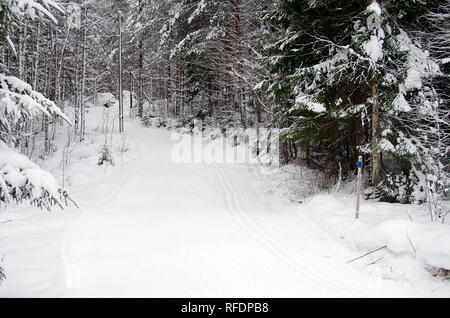 Sci di fondo in un freddo e nevoso inverno giorno in Dalarna,Svezia. Foto Stock
