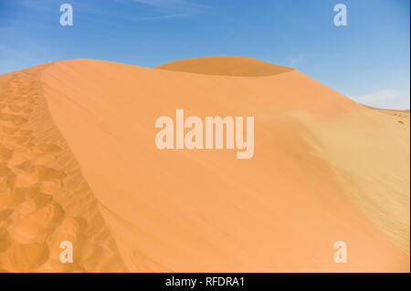 Il mondo ultraterreno dune e dei paesaggi del deserto di Namib-Naukluft Parco Nazionale di fare una bella gita in giornata da Sesriem camp sul bordo del Namib Foto Stock