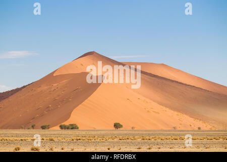 Il mondo ultraterreno dune e dei paesaggi del deserto di Namib-Naukluft Parco Nazionale di fare una bella gita in giornata da Sesriem camp sul bordo del Namib Foto Stock