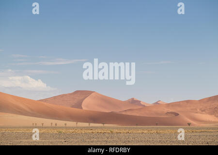 Il mondo ultraterreno dune e dei paesaggi del deserto di Namib-Naukluft Parco Nazionale di fare una bella gita in giornata da Sesriem camp sul bordo del Namib Foto Stock