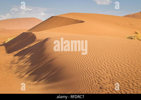 Il mondo ultraterreno dune e dei paesaggi del deserto di Namib-Naukluft Parco Nazionale di fare una bella gita in giornata da Sesriem camp sul bordo del Namib Foto Stock