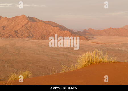 Il mondo ultraterreno dune e dei paesaggi del deserto di Namib-Naukluft Parco Nazionale di fare una bella gita in giornata da Sesriem camp sul bordo del Namib Foto Stock