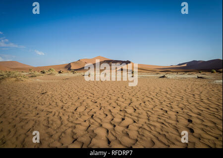 Il mondo ultraterreno dune e dei paesaggi del deserto di Namib-Naukluft Parco Nazionale di fare una bella gita in giornata da Sesriem camp sul bordo del Namib Foto Stock