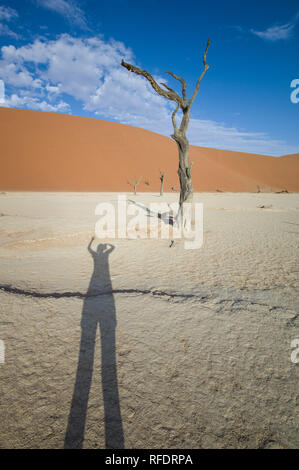 Gli alberi morti in Deadvlei, Namib-Naukluft National Park, Namibia; la vaschetta una volta aveva acqua da Tsauchab River, ma un ambiente in evoluzione cause a secco Foto Stock