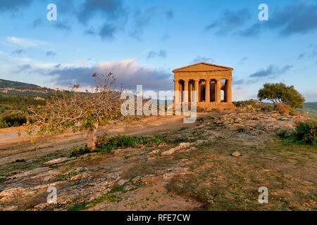 Tempio della Concordia (Tempio della Concordia). Valle dei Templi (Valle dei Templi). Agrigento Sicilia Italia Foto Stock