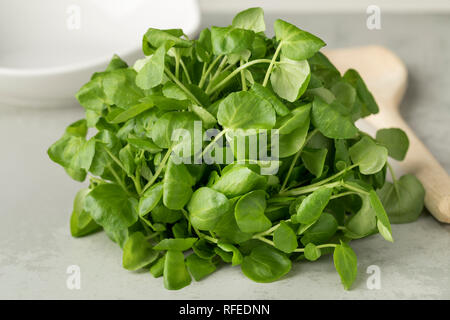 Crudo fresco verde crescione organico Foto Stock