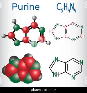 Molecola di purina, è un gruppo aromatico eterociclico composto organico. Formula chimica di struttura e la molecola modello. Illustrazione Vettoriale Illustrazione Vettoriale