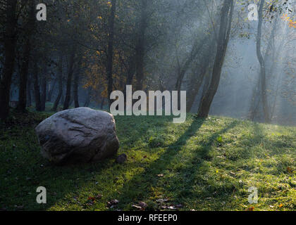 Golden i raggi del sole penetrano attraverso gli alberi sui primi nebbiosa mattina autunnale con big rock più audace posa sull'erba in primo piano Foto Stock