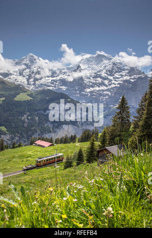 La Svizzera, Alpi Berner Oberland, la molla. Murren, treno e monte Jungfrau (4158m). Foto Stock