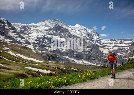 La Svizzera, Alpi Berner Oberland, la molla. Grindelwald. Kleine Scheidegg. Escursionista, l'uomo. Monte Jungfrau. Foto Stock