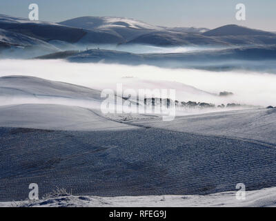 Nevoso altipiani del Sud da Langlaw hill, vicino a Broughton, Scozia Foto Stock