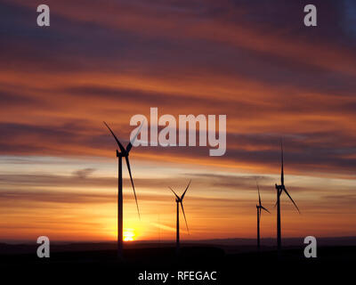 Wind Farm all'alba, Monynut edge, Lammermuir sulle colline vicino a Dunbar, Scozia Foto Stock