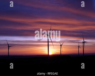 Wind Farm all'alba, Monynut edge, Lammermuir sulle colline vicino a Dunbar, Scozia Foto Stock