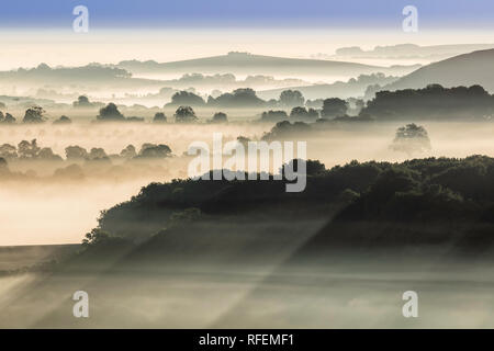 L a Cranborne Chase da CHARLTON DOWN, Wiltshire, Inghilterra Foto Stock