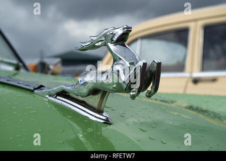 Emblema della vettura retrò GAZ-21 Volga Foto Stock