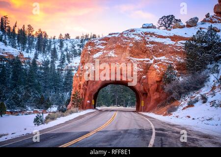 Strada con tunnel attraverso il Red Rock arco nella neve, al tramonto, Highway 12, rocce di arenaria, Rosso Canyon, Panguitch, Utah, Stati Uniti d'America Foto Stock