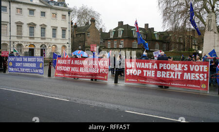Londra, Inghilterra, Jan 16 2019. Brexit manifestanti in piedi al di fuori del Parlamento britannico. Foto Stock