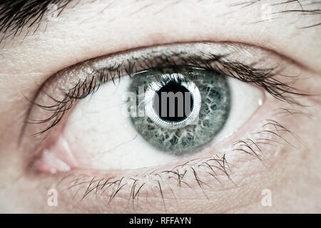 Close up di colore grigio-blu eye Foto Stock