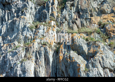 Texture Insolite Della Roccia Nikolsky Tutalsky Rocce Sulla Riva Del Fiume Siberiano Tom Foto Stock Alamy