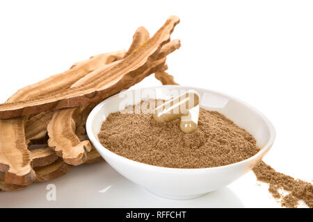 Essiccato reishi funghi con polvere e capsule di gel isolato su sfondo bianco. Foto Stock
