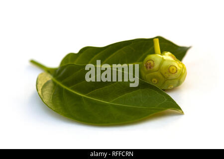 Morinda citrifolia frutto tropicale con foglie isolati su sfondo bianco. Immunity booster. Antiossidante. Foto Stock