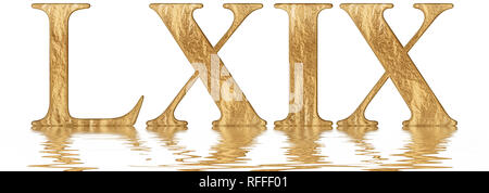 Numero romano LXIX, novem et sexaginta, 69, sessanta nove, riflessa sulla superficie dell'acqua, isolato su bianco, 3D render Foto Stock