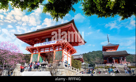 KYOTO, Giappone - MARZO 36, 2015: Turistico a Kiyomizu-dera tempio durante la fioritura dei ciliegi ora stanno andando a fiorire a Kyoto, Giappone Foto Stock