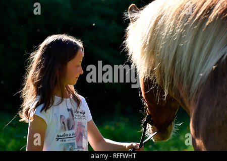 Ragazza con cavallo islandese, castrazione Foto Stock