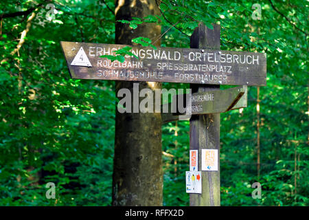 Ortel Marsh, Renania-Palatinato, Hunsrueck, Germania Foto Stock