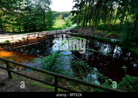 Nixenweiher, Ortel Marsh, Renania-Palatinato, Hunsrueck, Germania Foto Stock