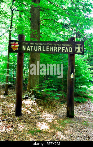 Sentiero Natura, Ortelsbruch, Ortel Marsh, Renania-Palatinato, Hunsrueck, Germania Foto Stock