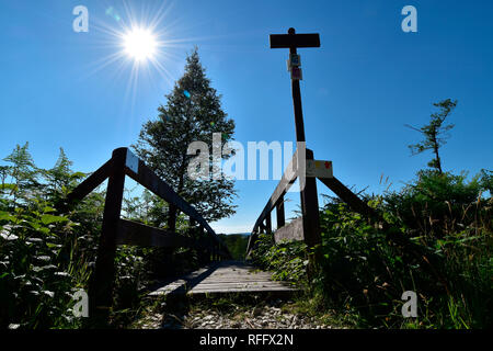 Ortel Marsh, Renania-Palatinato, Hunsrueck, Germania Foto Stock