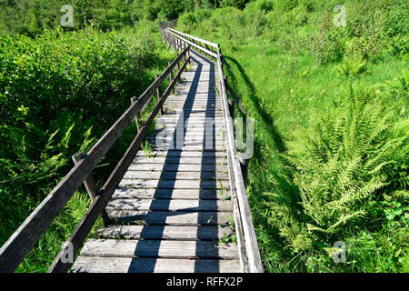 Ortel Marsh, Renania-Palatinato, Hunsrueck, Germania Foto Stock