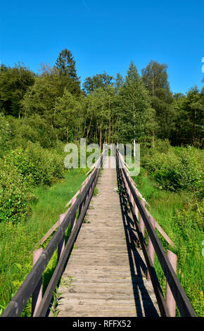 Ortel Marsh, Renania-Palatinato, Hunsrueck, Germania Foto Stock