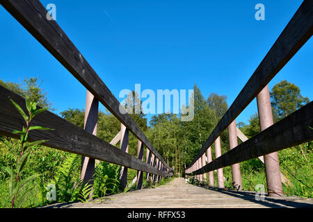 Ortel Marsh, Renania-Palatinato, Hunsrueck, Germania Foto Stock