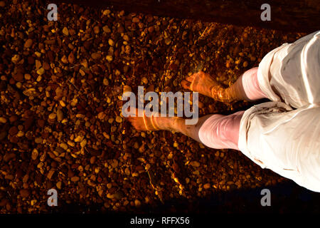 Nixenweiher, Ortel Marsh, Renania-Palatinato, Hunsrueck, Germania, idroterapia Foto Stock