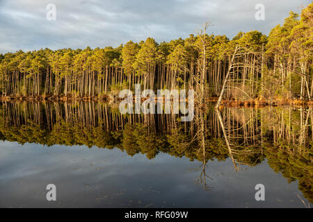 Loch Mallachie nel Parco Nazionale di Cairngorms della Scozia. Foto Stock