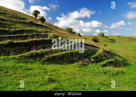 In Terracettes Calstone Coombes. Foto Stock