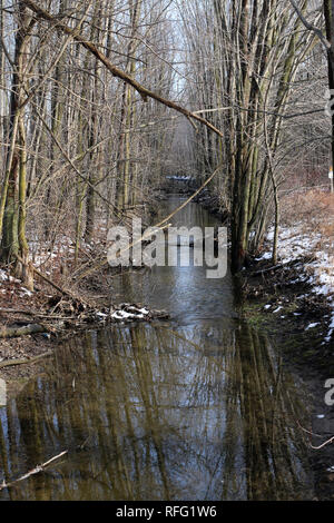 Tiny Marsh vicino a Midland Ontario Foto Stock