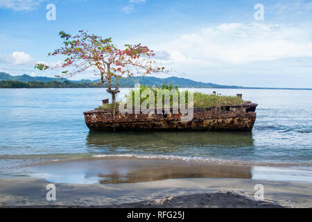 Un paesaggio colorato foto di un vecchio arrugginito nave affondata relitto ricoperto di vegetazione presso la spiaggia di Puerto Viejo, Limon Costa Rica. Foto Stock