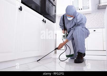 Close-up di un controllo di peste del lavoratore di spruzzatura a mano sui pesticidi cabinet bianco Foto Stock